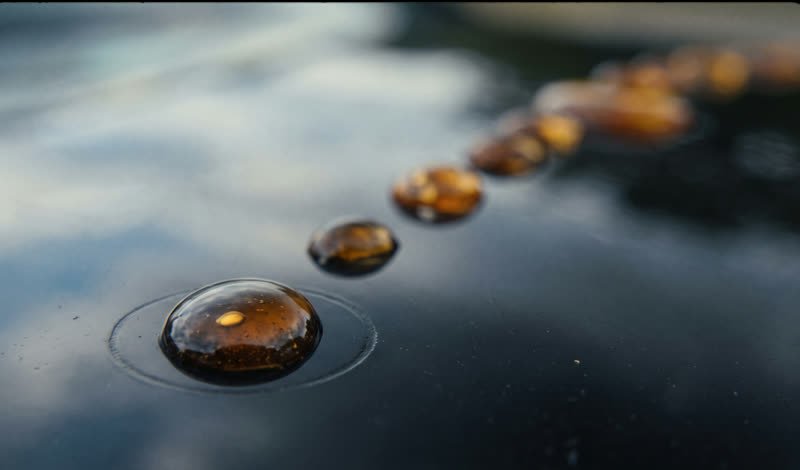Amber tree sap hardened in beads on black car paint, each one ringed where it has etched the clear coat.